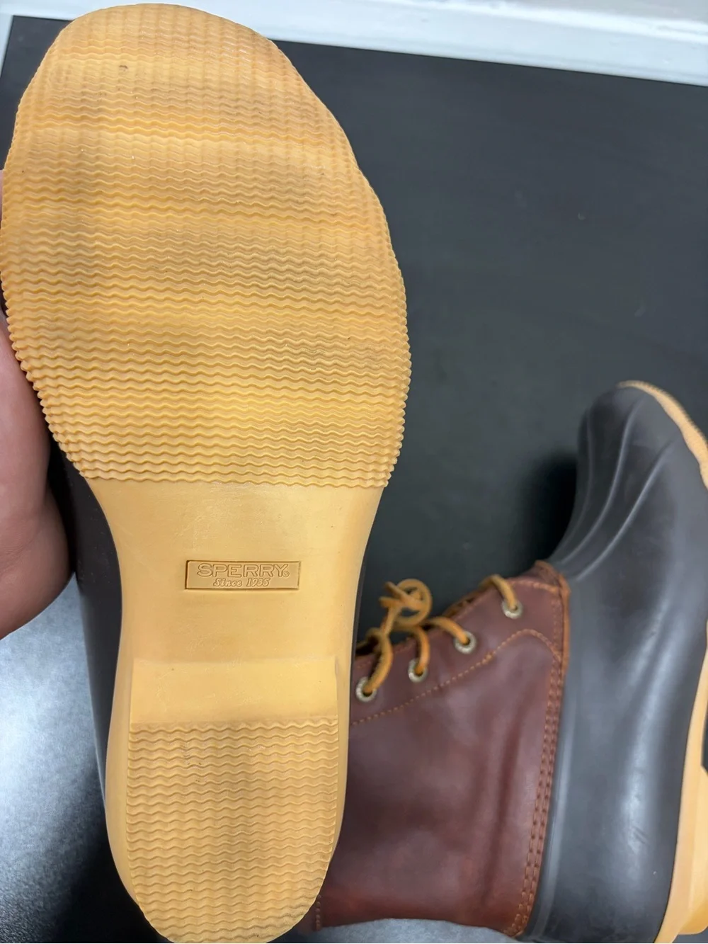 Sperry waterproof duck